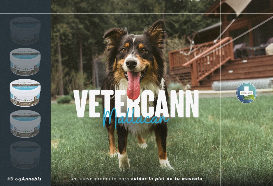 Vetercann Mallacan, un nuevo producto para cuidar la piel de tu mascota 