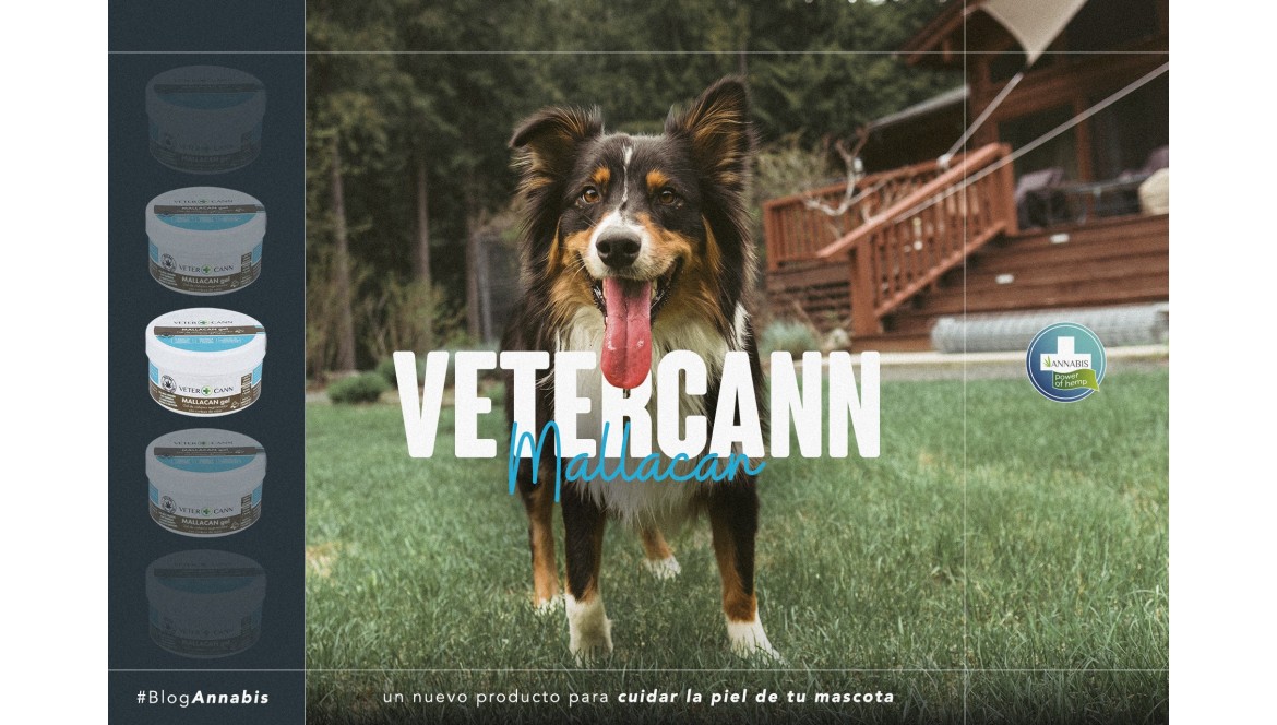 Vetercann Mallacan, un nuevo producto para cuidar la piel de tu mascota Vetercann Mallacan, un nuevo producto para cuidar la piel de tu mascota